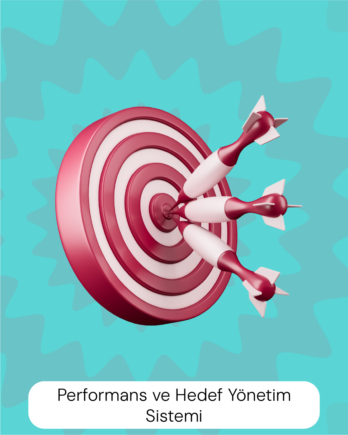 Performans ve Hedef Yönetim Sistemi
