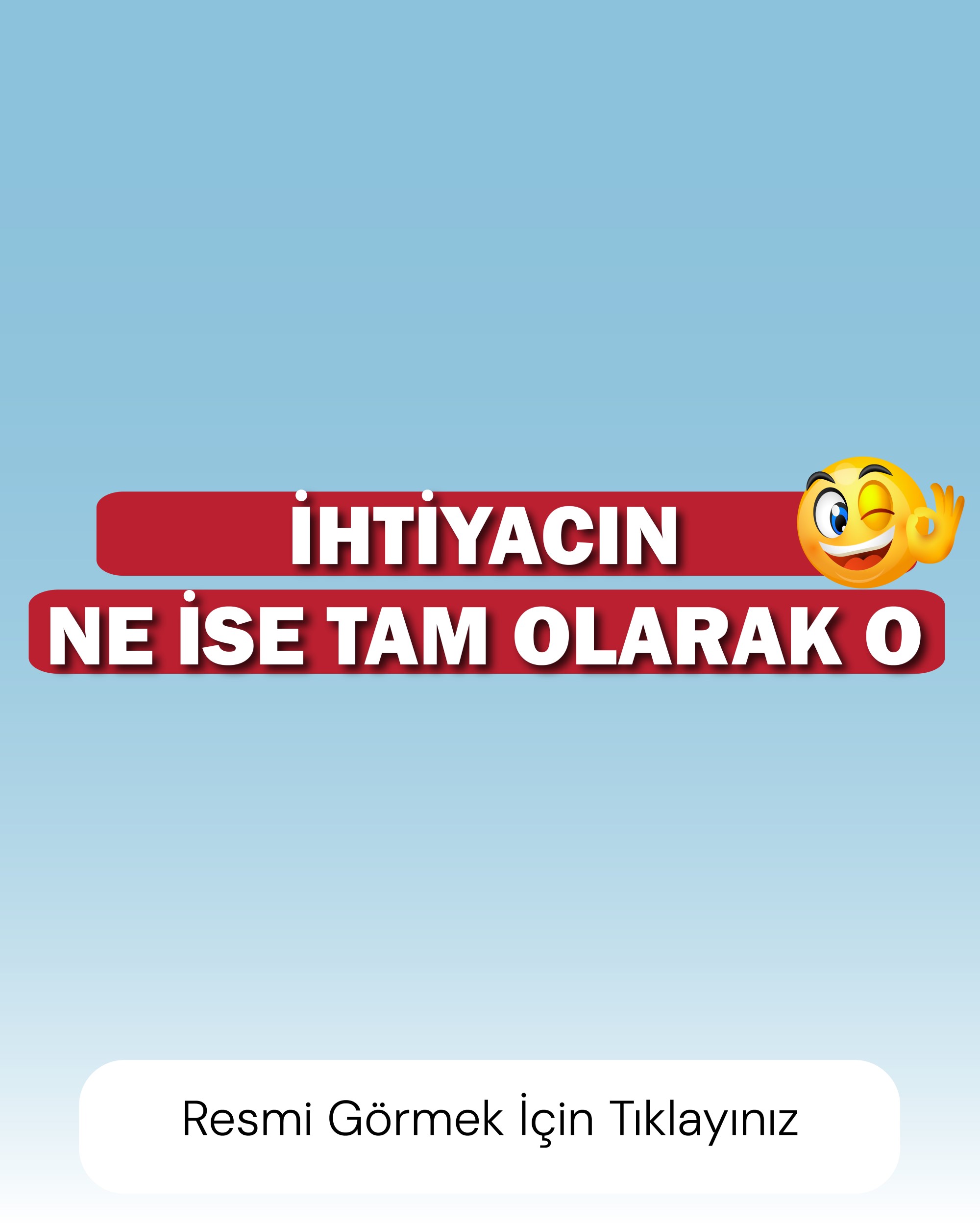 İhtiyacın ne ise tam olarak o