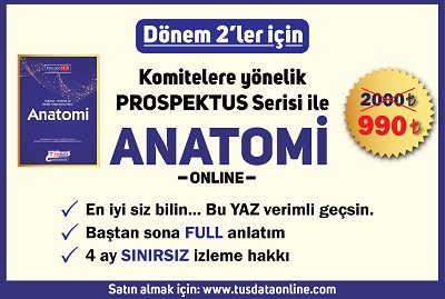 Dönem 2'ler için Komitelere Yönelik Anatomi !